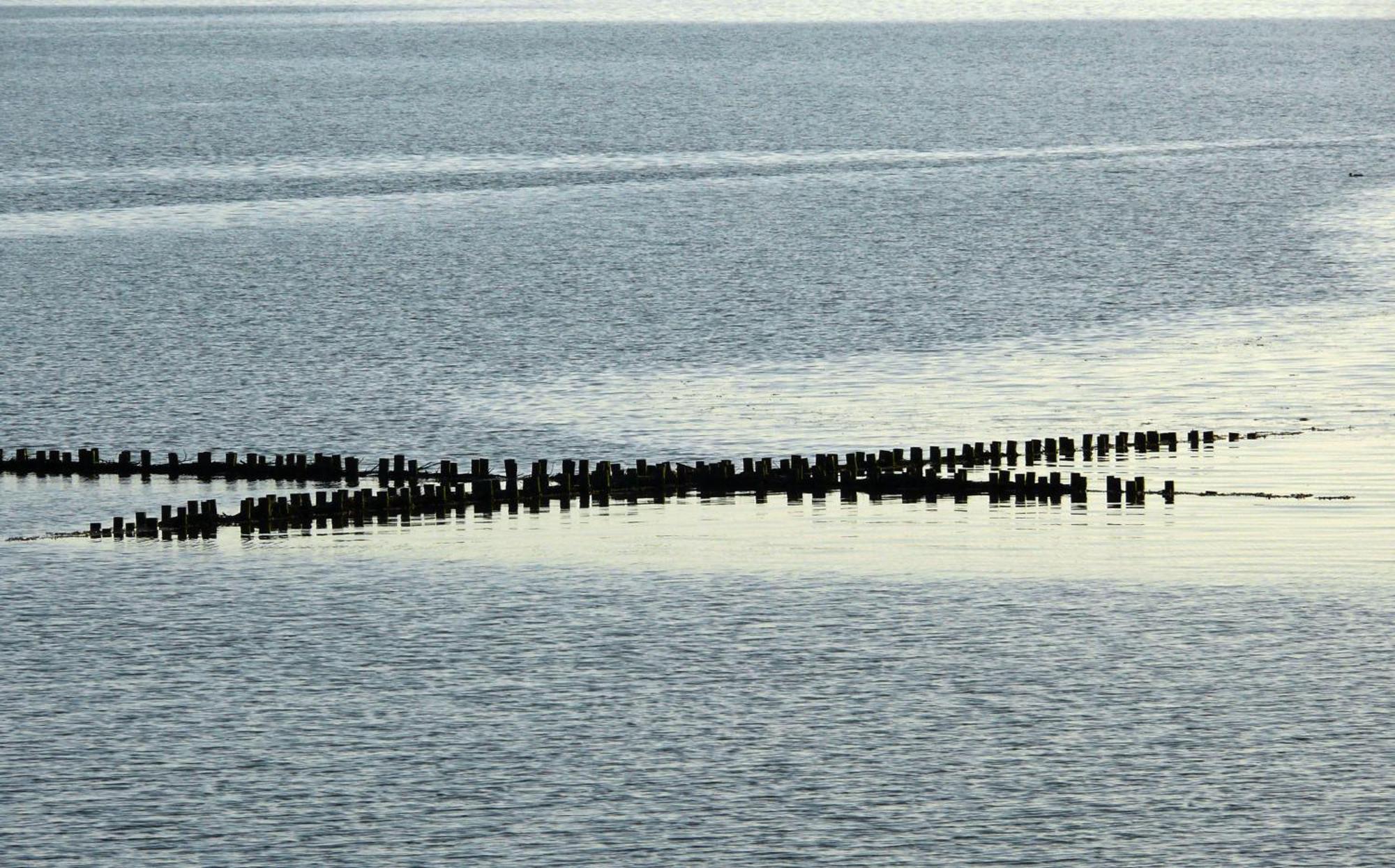 Haus Halligblick, Ferienwohnungen Am Wattenmeer, Whg Langenness Dagebüll Esterno foto