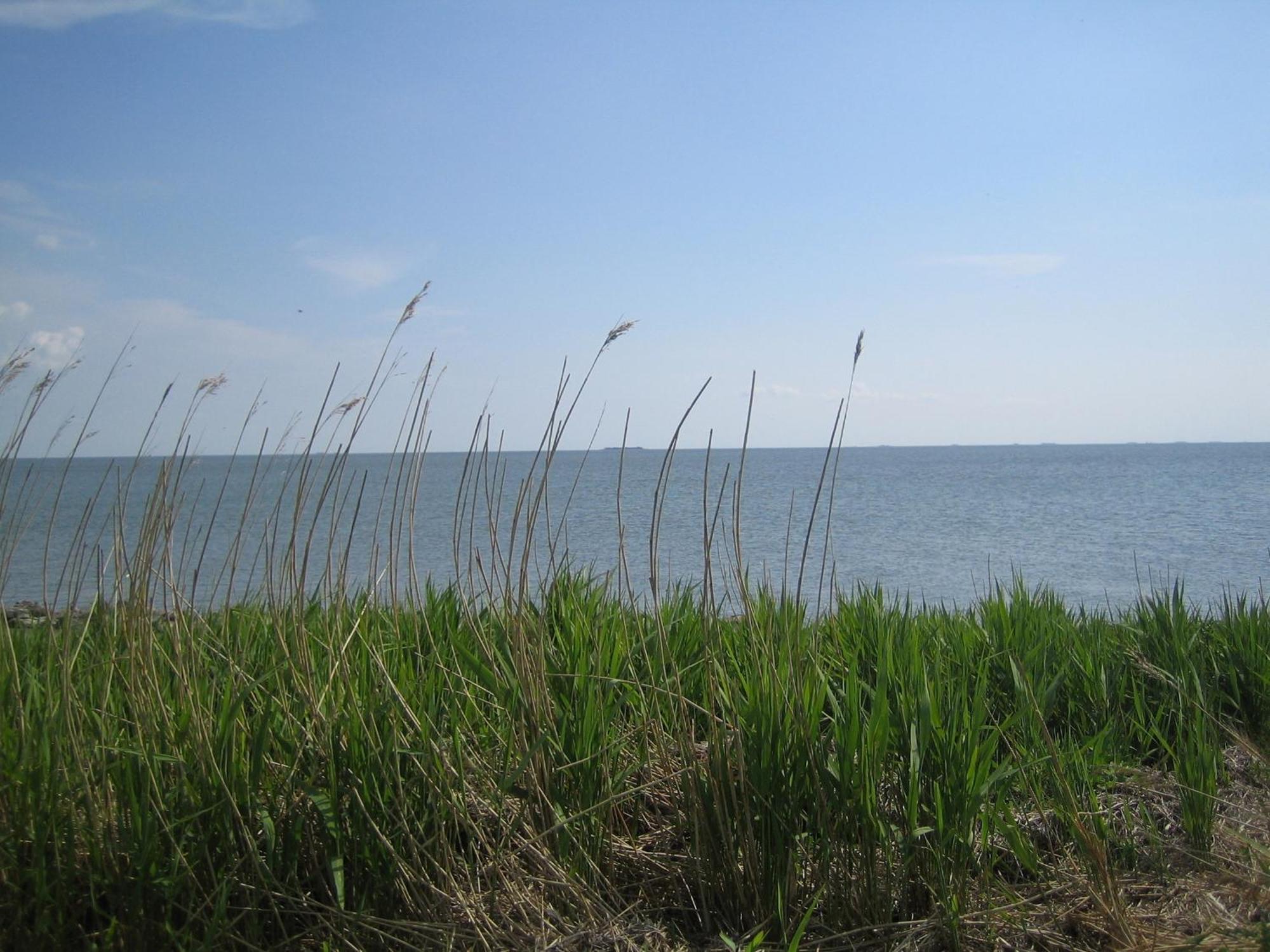 Haus Halligblick, Ferienwohnungen Am Wattenmeer, Whg Langenness Dagebüll Esterno foto