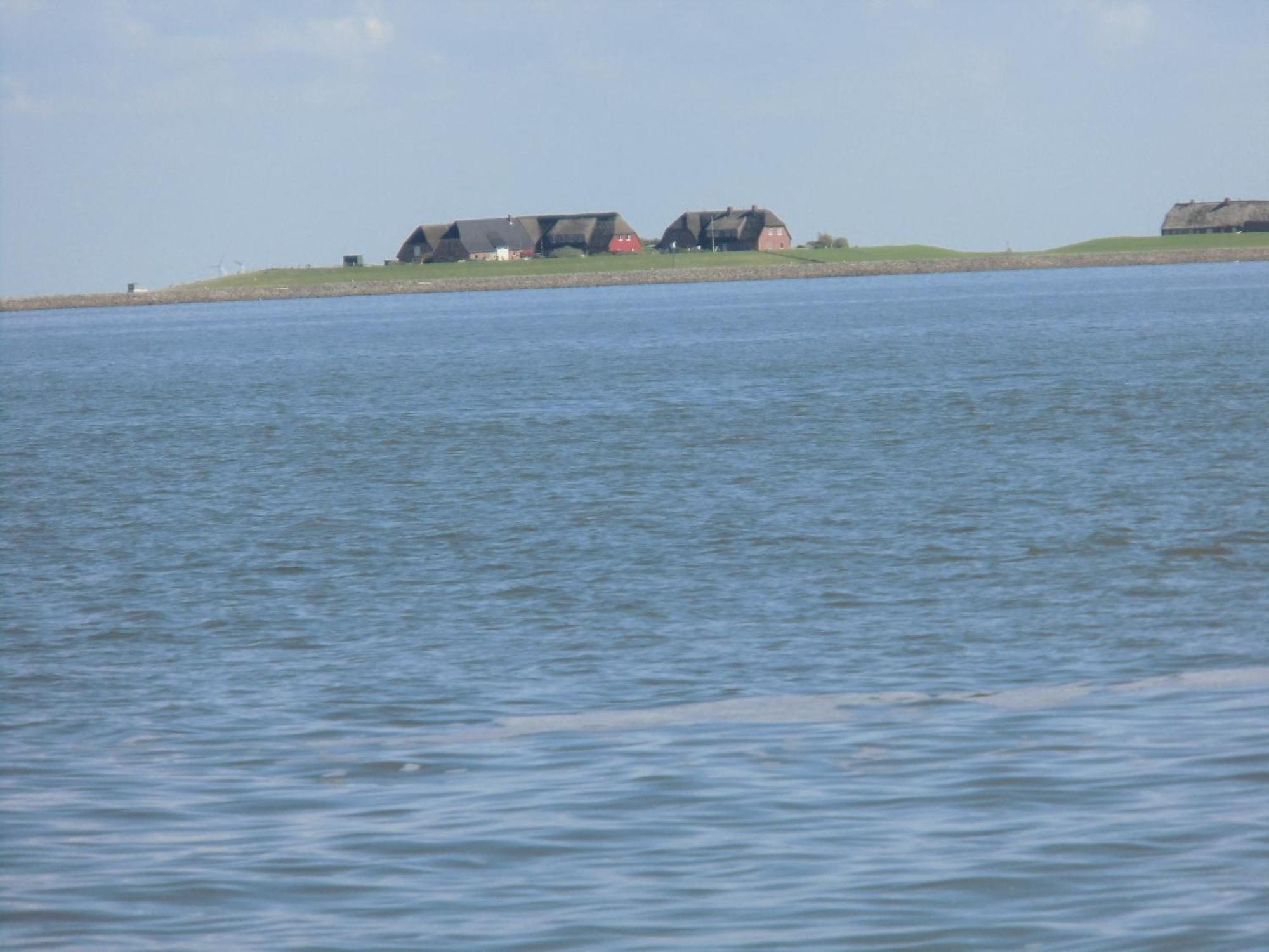 Haus Halligblick, Ferienwohnungen Am Wattenmeer, Whg Langenness Dagebüll Esterno foto
